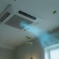 How to Prevent Mold in Your Air Conditioning System 85x85